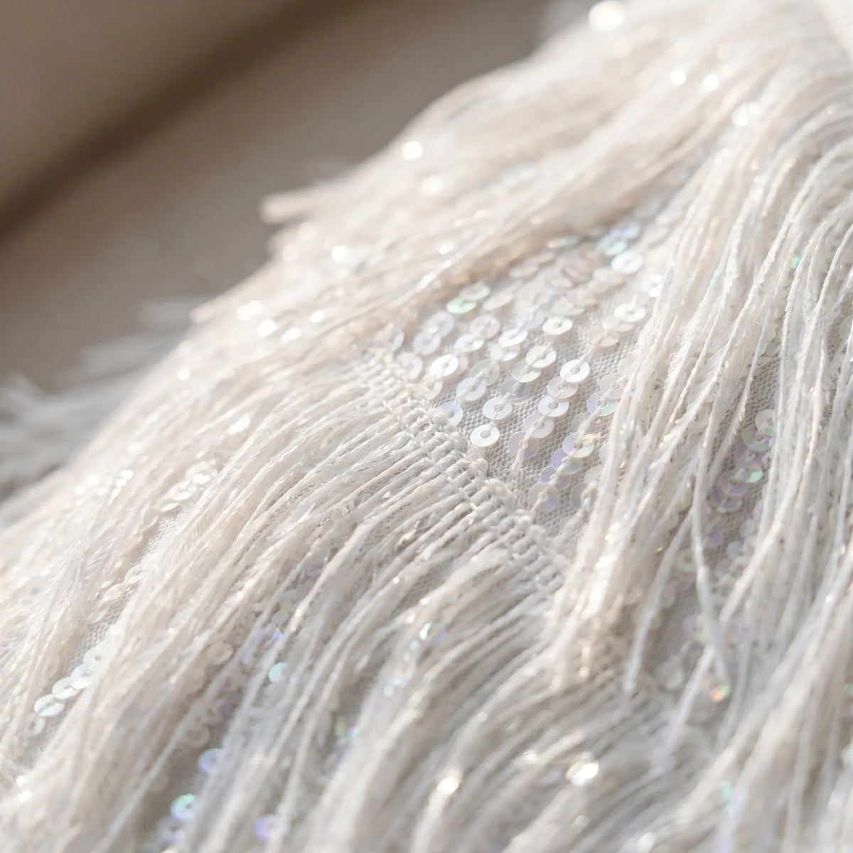 Women's Fringe Sequin Mini Party Dress