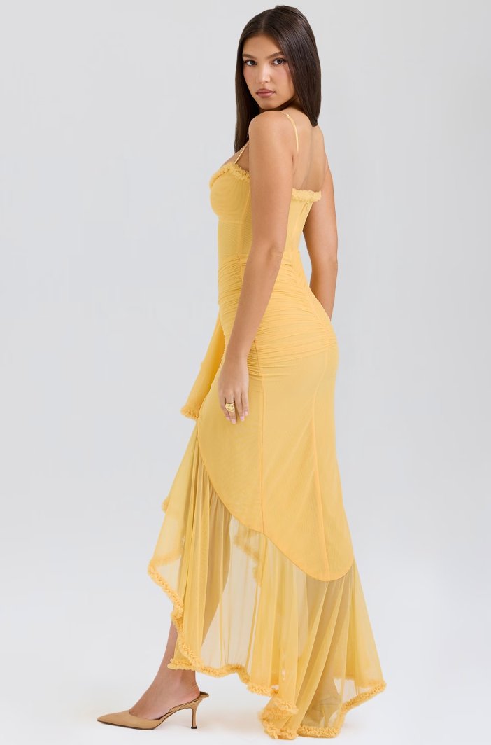 Women's Mermaid Bodycon Party Gown